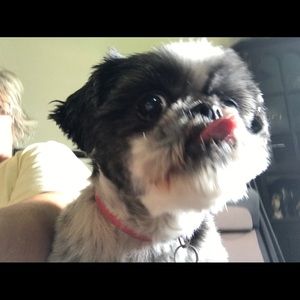 Meet your Posher, Polly